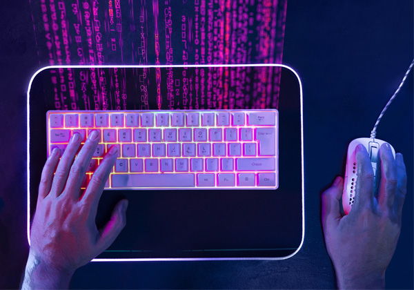 Custom website development solutions for business growth